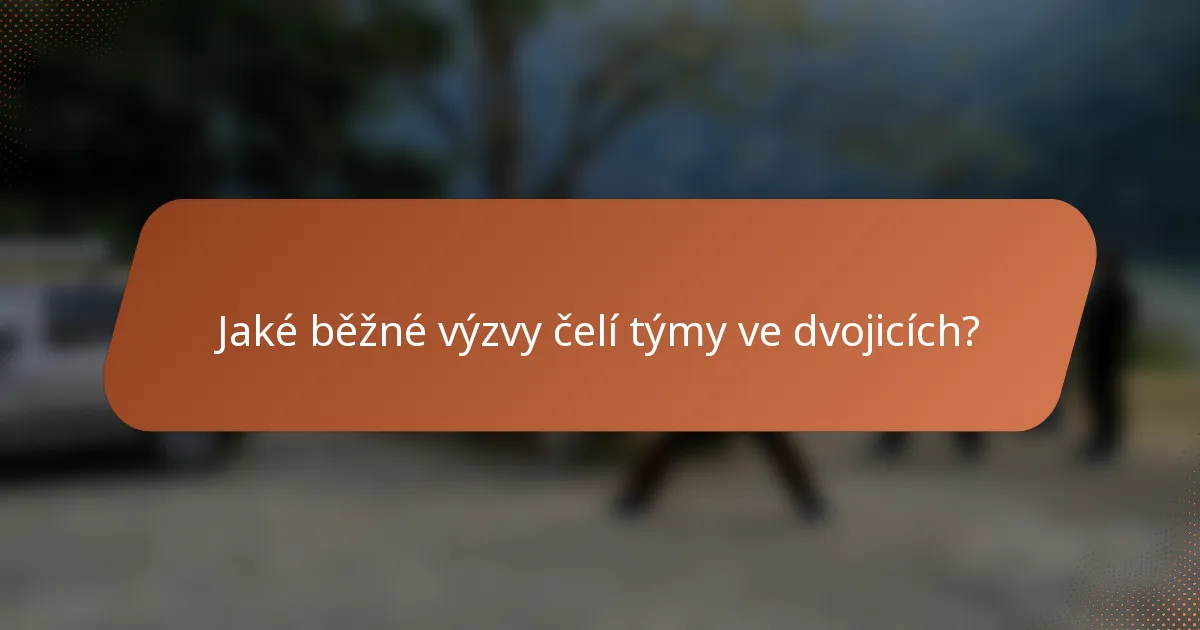 Jaké běžné výzvy čelí týmy ve dvojicích?